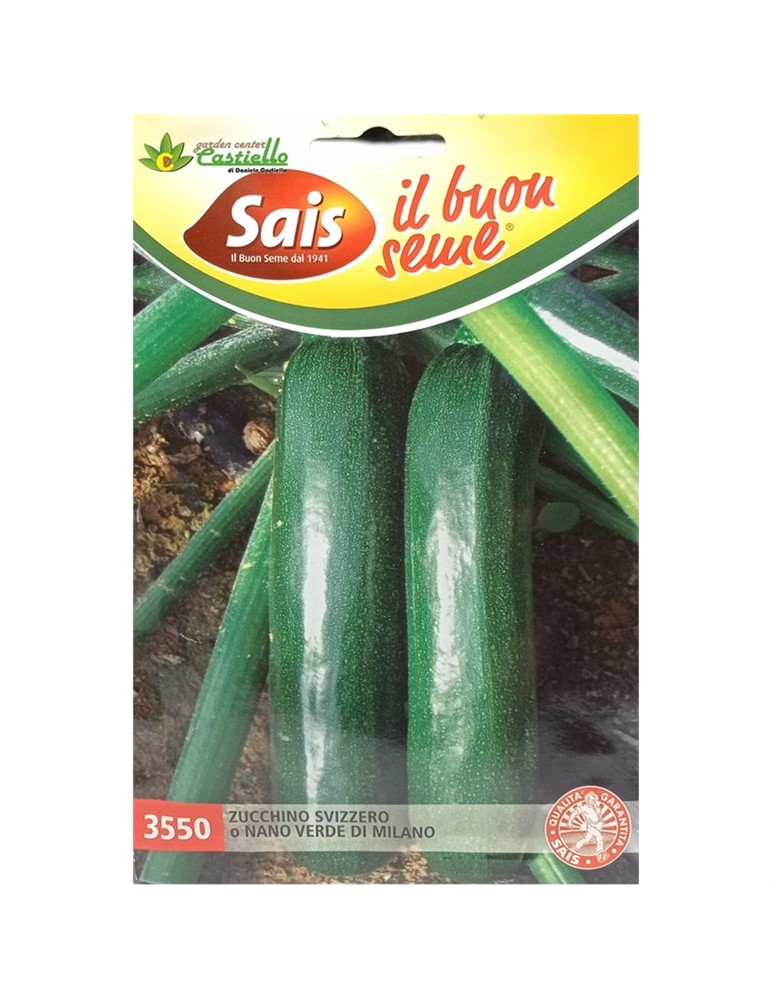 Zucchino svizzero nano verde di Milano SAIS