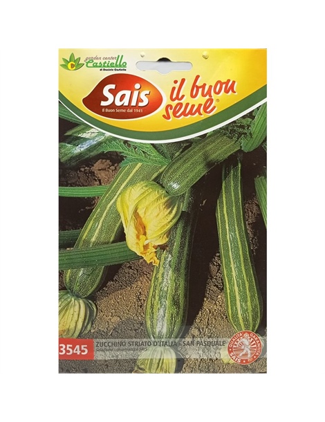 zucchino san pasquale