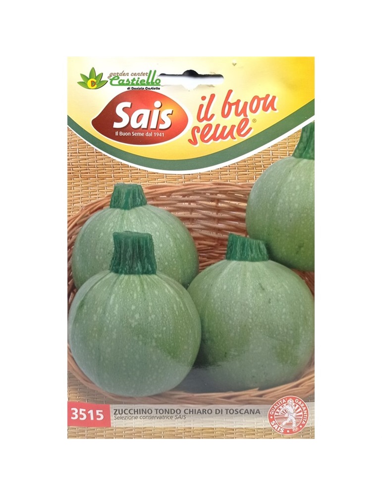 Zucchino tondo chiara di toscana SAIS