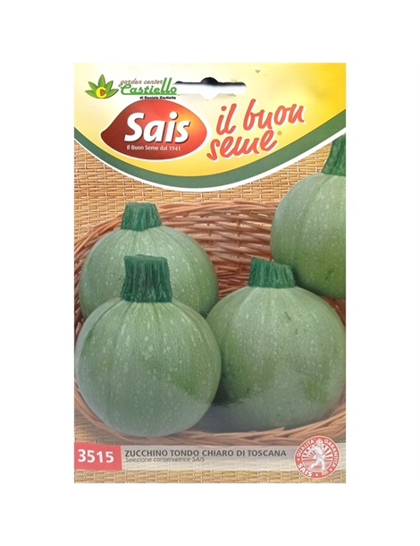 zucchino chiaro
