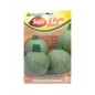 Zucchino tondo chiara di toscana SAIS