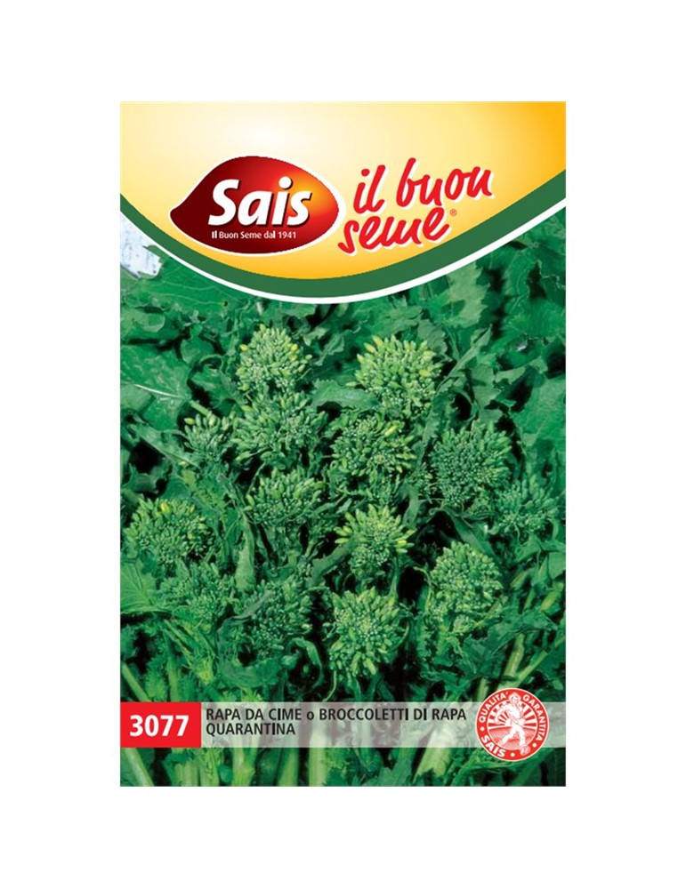 Rapa 40 broccoletti gr 100