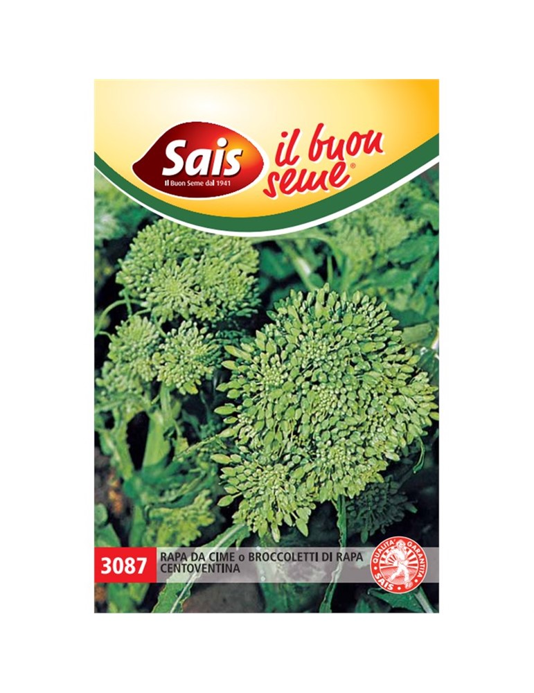 Rapa 120 da cime broccoletti gr 500
