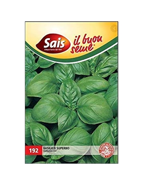 basilico