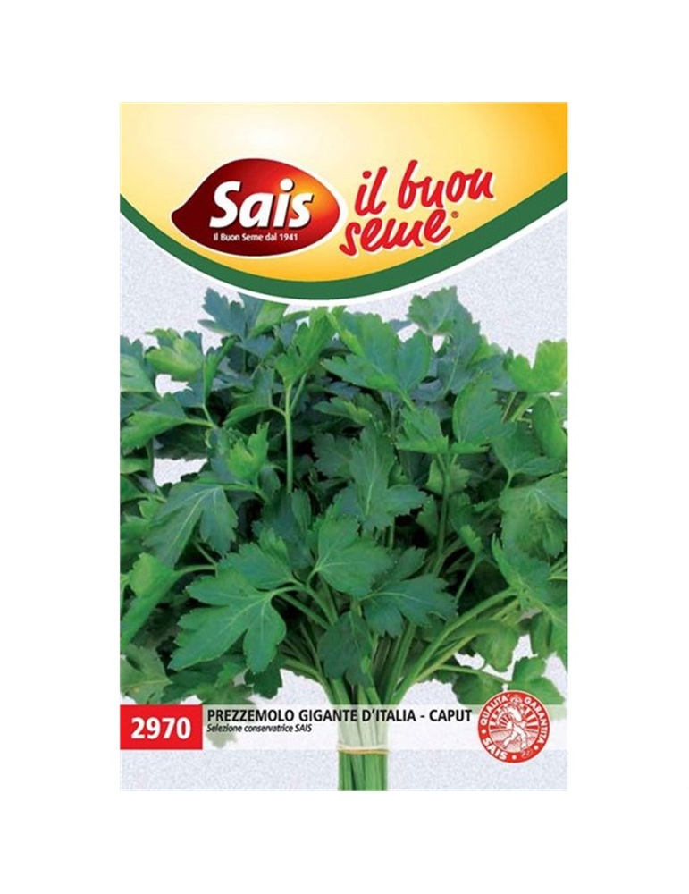 Prezzemolo gigante d'italia Sais  bustina