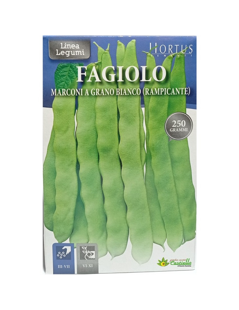 Fagiolo marconi grano bianco rampicante gr 250 HORTUS