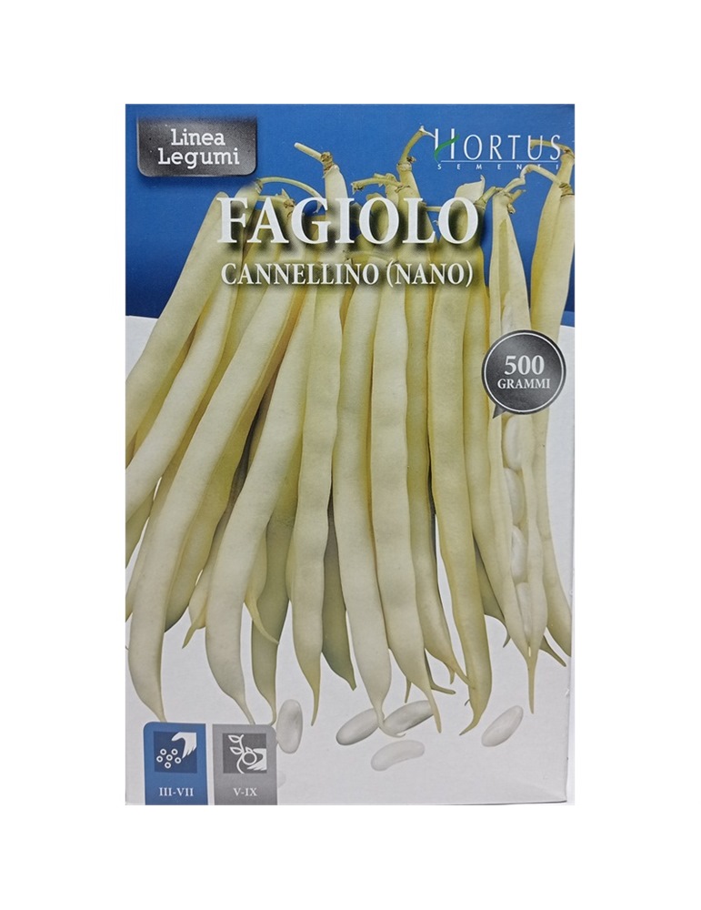 Fagiolo cannellino nano gr 500 HORTUS