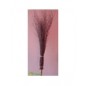 Scopa bamboo con manico