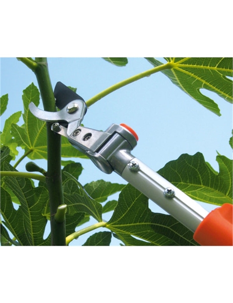 Forbice stocker telescopica mt 1,8-3,0 art.604