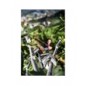 Forbice telescopica stocker 2,3 mt 4 art.607
