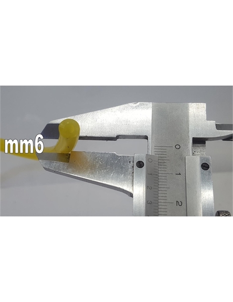 10bm0577