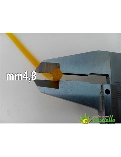 10bm0578