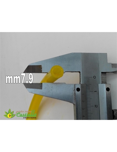 10bm0579