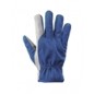 Guanti titan micro bluroyal TG 9