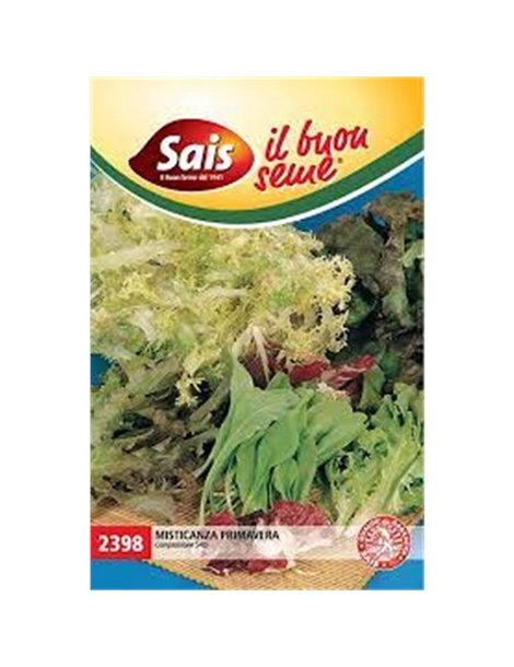misticanza primavera