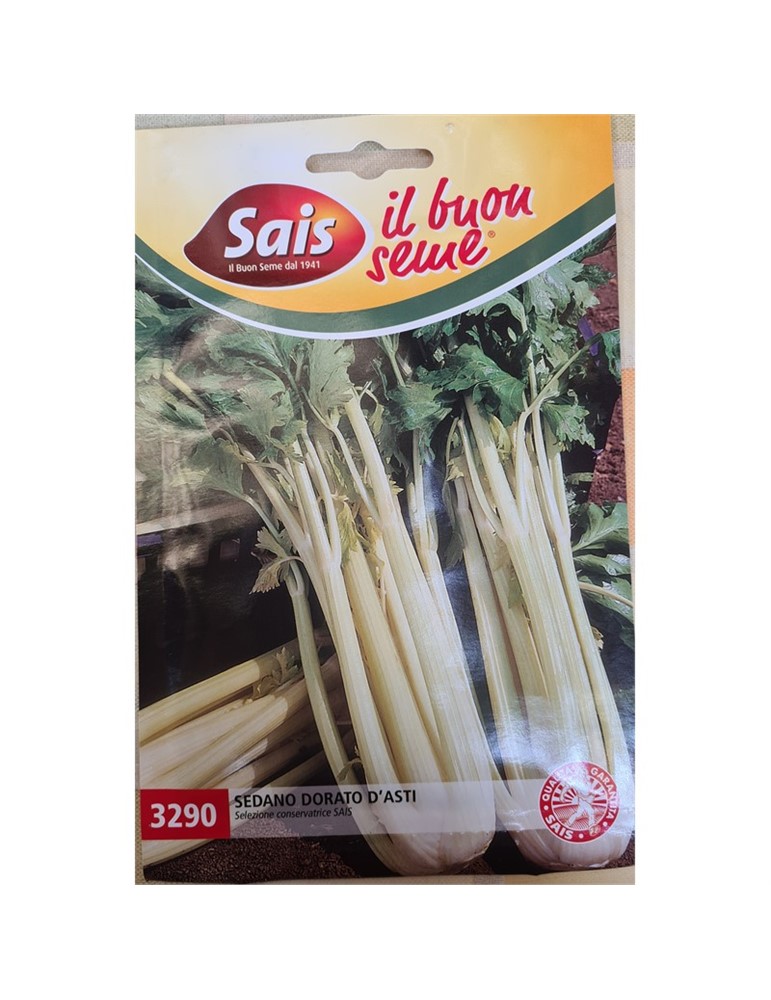 Sedano dorato d'asti  Sais 3290