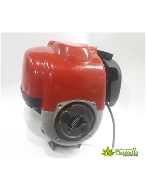 Motore per decespugliatore 4 tempi DFS