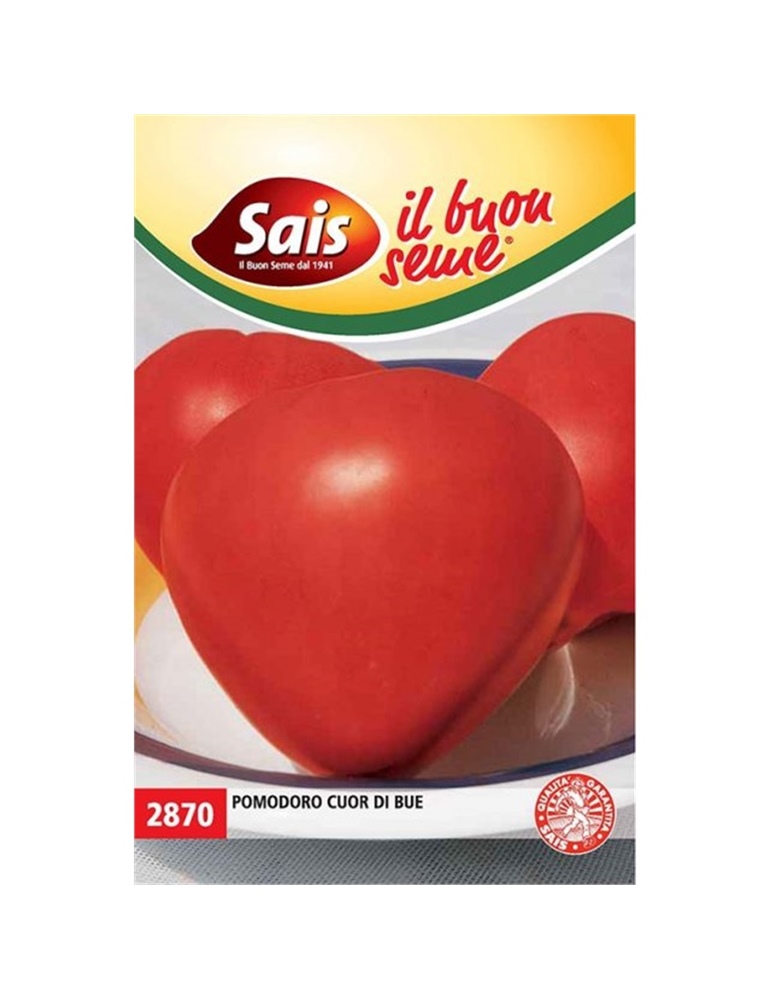 Pomodoro cuor di bue codice alter.2870 SAIS