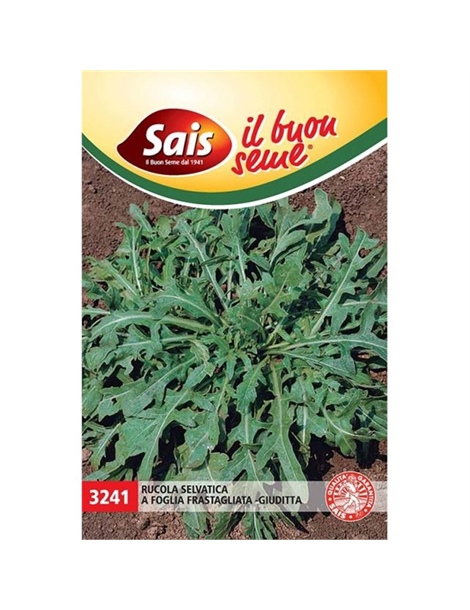 rucola selvatica a foglia frastagliata  
