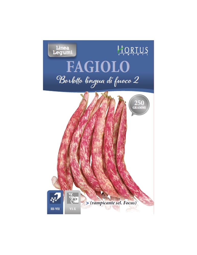 Fagiolo rampicante borlotto lingua di fuoco 2 sel. focus HORTUS