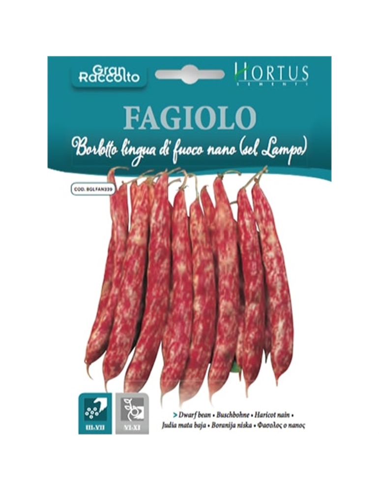 Fagiolo lingua di fuoco nano (sel.lampo) gr.60 HORTUS