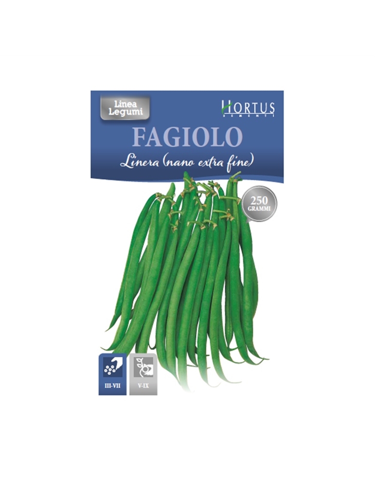 Fagiolo linera (nano extra fine GR.250 HORTUS