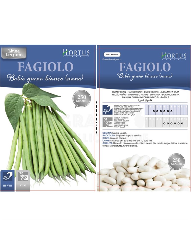 Fagiolo boby bianco (nano) GR.250 HORTUS