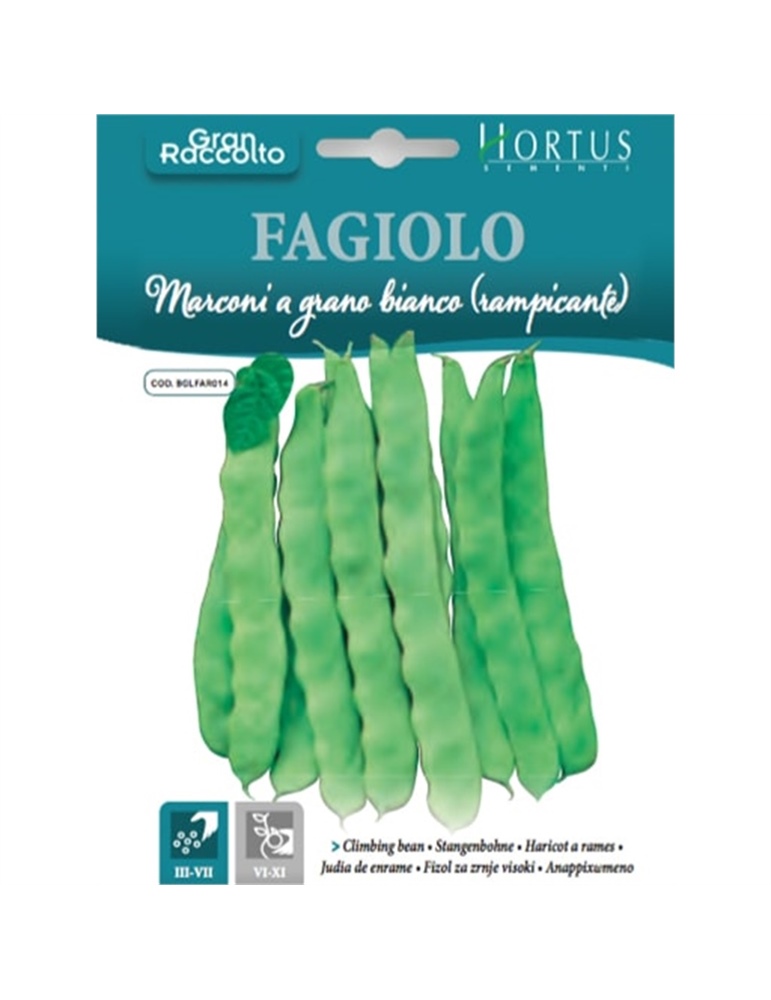 Fagiolo marconi grano bianco rampicante gr.40 HORTUS