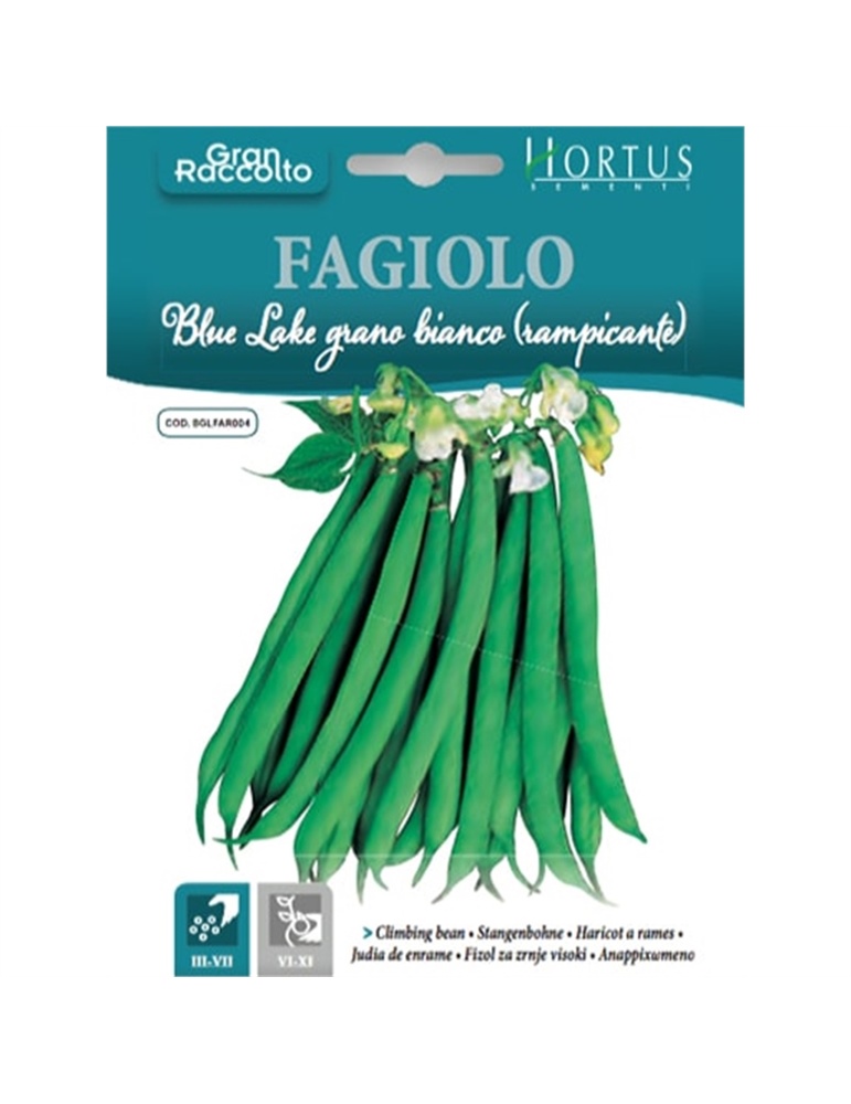 Fagiolo blue lake grano bianco rampiacante gr 40 HORTUS