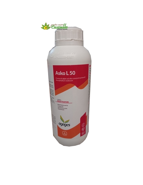 asko l