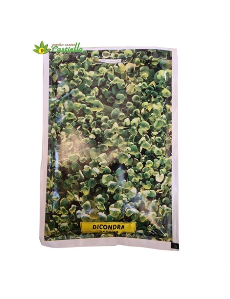 dichondra 100gr