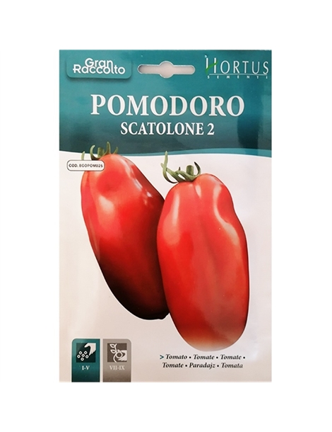 pomodoro scatolone gr 2