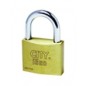 Lucchetto ottone iseo mm.20