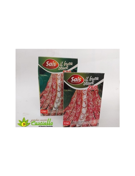 fagiolo-rampicante-borlotto-lingua-di-fuoco-3