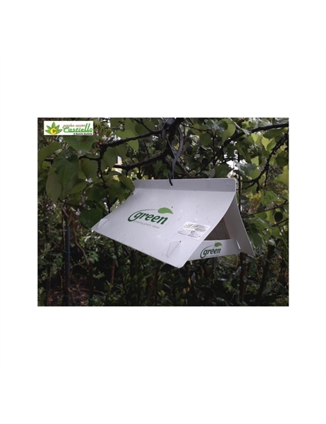 trappola-a-delta-universale-per-feromoni-green