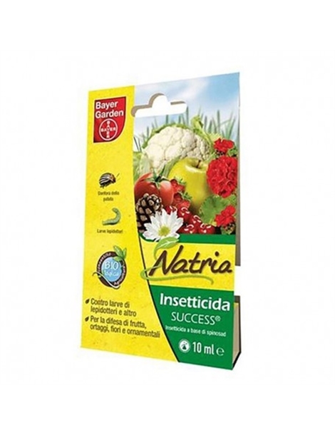 Success insetticida ML 10 