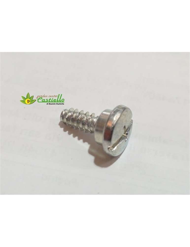 Vite Puleggia avviamento MCV3100TS Maruyama 267213