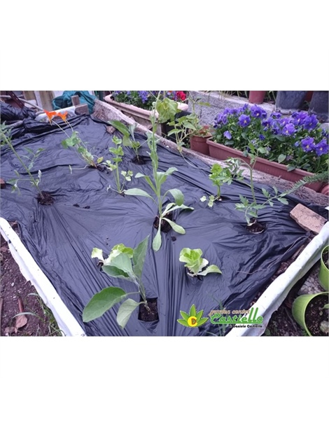 Pacciamatura telo materbi biodegradabile mt1 x 10mt compostabile
