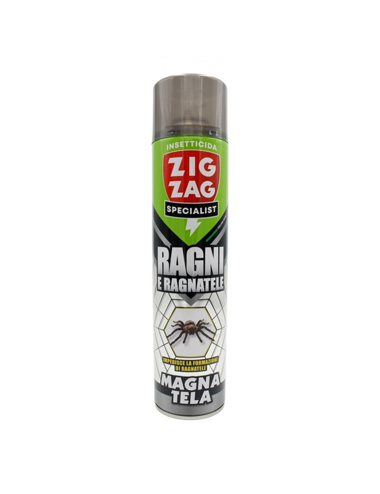 Zig zag ragni e ragnatele ml600