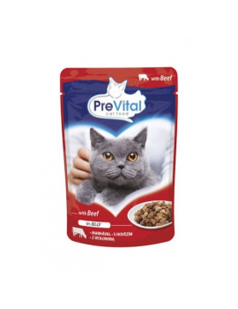 Prevital cat food drycat adult beef GR 100