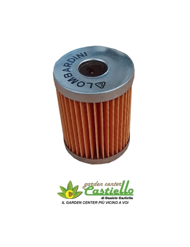 Filtro Nafta Lombardini Immerso