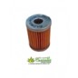 Filtro Nafta Lombardini Immerso