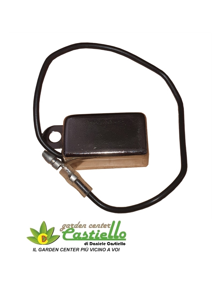Centralina elettronica motori 2 tempi sig.