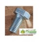 Vite m 10x20 uni c.8.8 znt