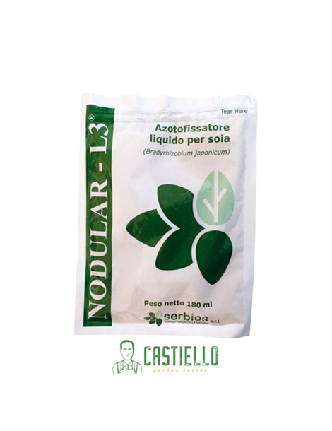 Nodular L3.png