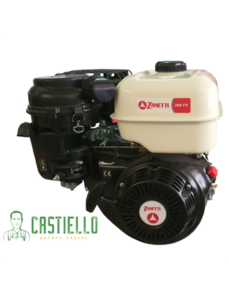 Motore  ZBM270 Zanetti cc270 albero conico
