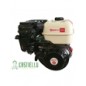 Motore  ZBM270 Zanetti cc270 albero conico