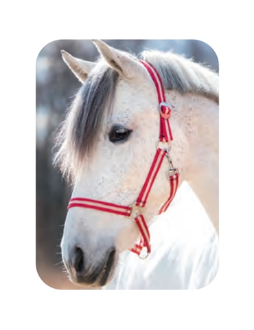 Cavezza Pony rosso misura 1 Piccola