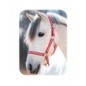 Cavezza Pony rosso misura 1 Piccola