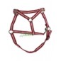 Cavezza Pony rosso misura 1 Piccola